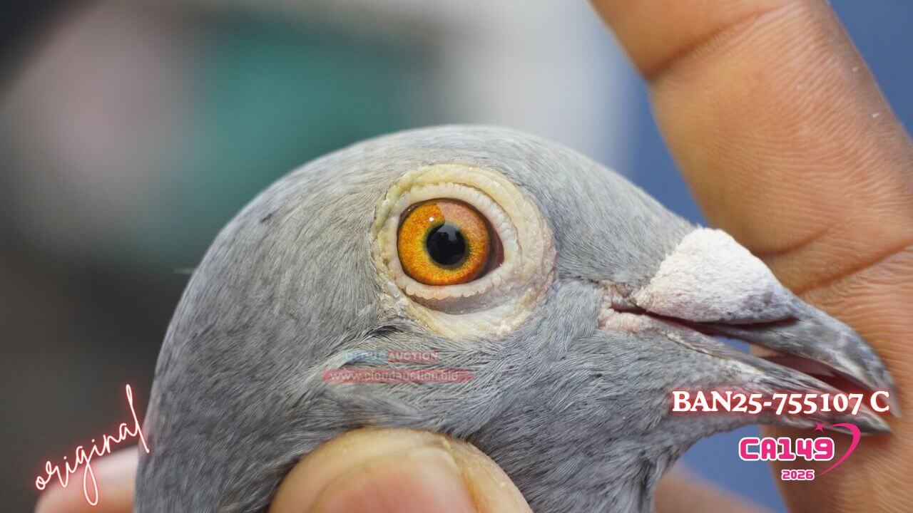 25-755107-2