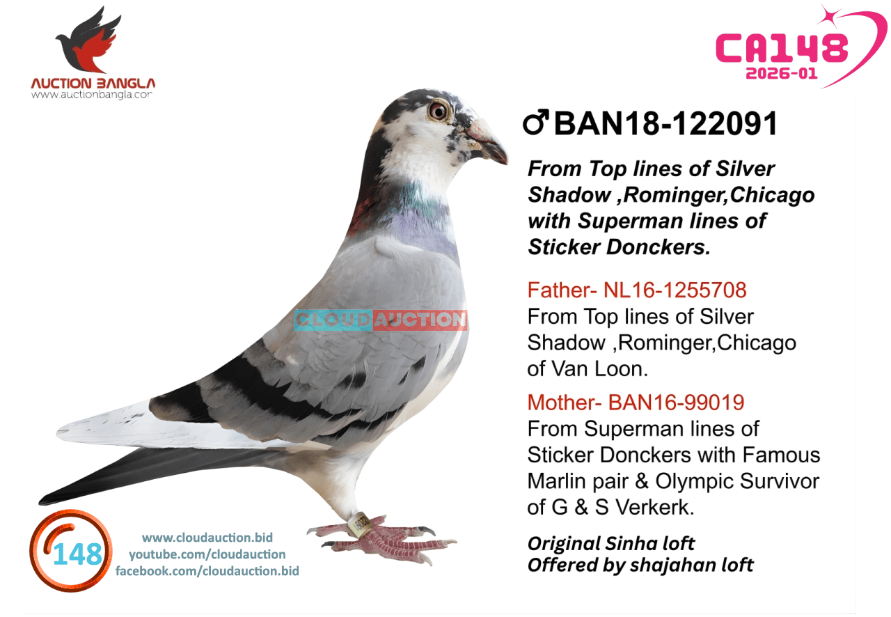 ban18-122091-CA148